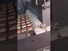 5HP 1000mm καθαρή σοκολάτα που επικαλύπτει τη μηχανή με τους αισθητήρες επιπέδων